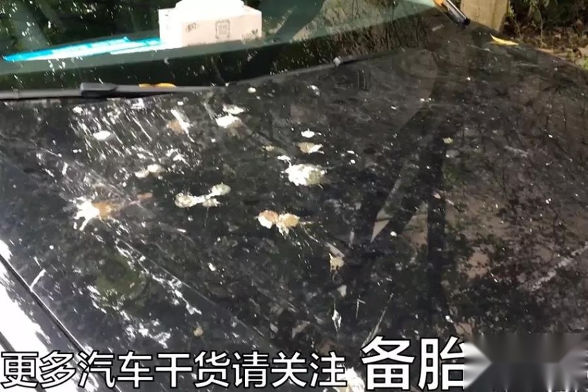 车子长时间不开，应该做哪些事情