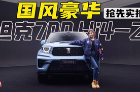 国风豪华 抢先实拍全新坦克700 Hi4-Z