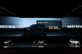 一眼锁定就是它！岚图黑武士限量三月上新