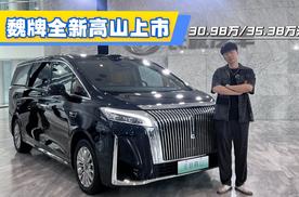 新能源MPV新选择，魏牌全新高山上市，售价30.98万/35.38万元