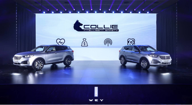 WEY技术品牌暨2020款VV6发布！