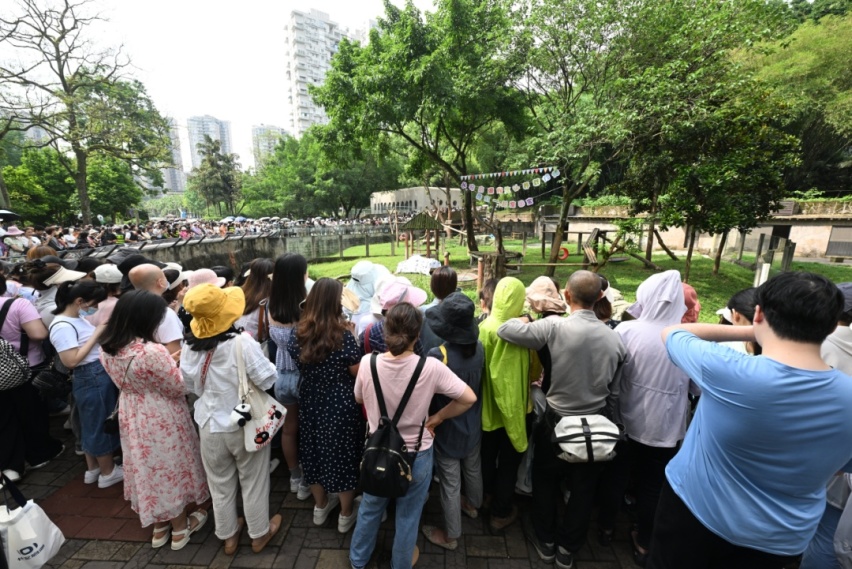 跨界新“CP”！长安和动物园成了“亲家”