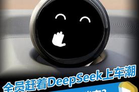 全员赶着DeepSeek上车潮，它们怎么这么淡定？