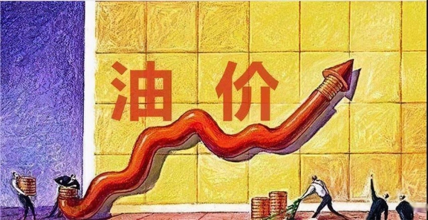 数字背后的审时度势 浅析比亚迪汽车成功背后的故事