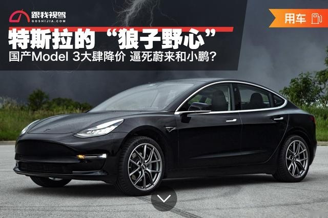 特斯拉的“狼子野心”国产Model 3大肆降价逼死蔚来和小鹏