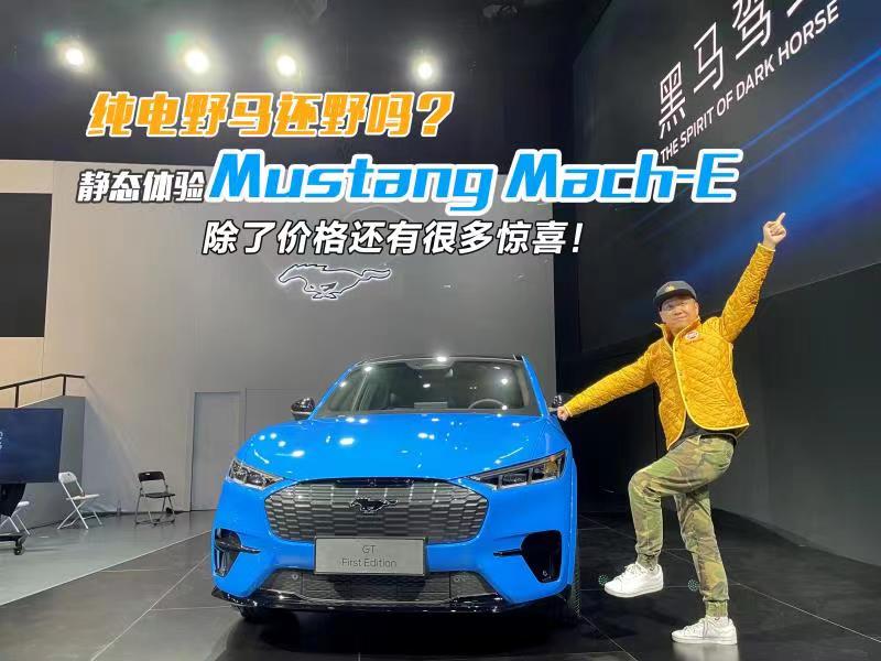 ҰR߀Ұ᣿oBwLMustang Mach-E