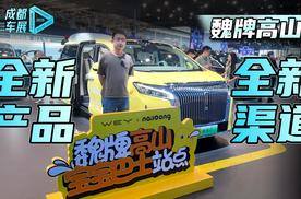 实拍魏牌高山7:长城智选渠道又一款新车！