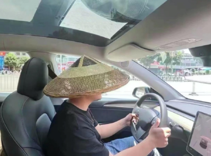 同为豪华新能源轿车，岚图追光与极氪001，谁能给夏日降降温？