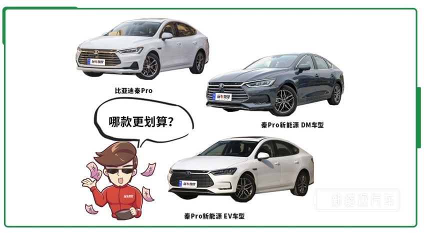 什么样的车省钱省油好养，这次终于搞懂了