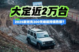 大定近2万台  2025款坦克300凭啥能持续热销?