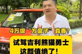 带“小书包”的纯电小车，试驾吉利熊猫勇士