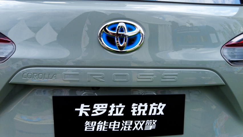 车标.JPG