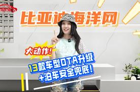 比亚迪海洋网大动作！13款车型OTA升级+泊车安全兜底！