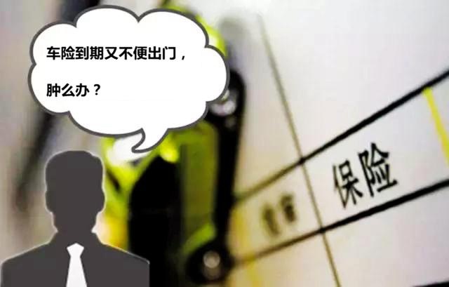 疫情防控期间出不去？别急，这些车生活事宜均可在家自助办理！