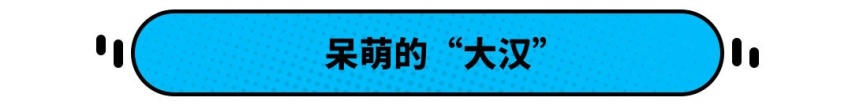 轴距超汉兰达 动力不输宝马X7 大众ID.6 X不到24万 标配后鼓刹