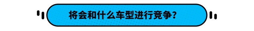 有钱人的大玩具？这款长城新车真的适合国人吗？