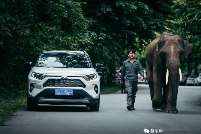 每一辆车都想去滇西，这一次RAV4荣放玩到了极致