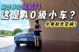 惊掉下巴！极狐T1静态品鉴，这么大空间的A0级小车？