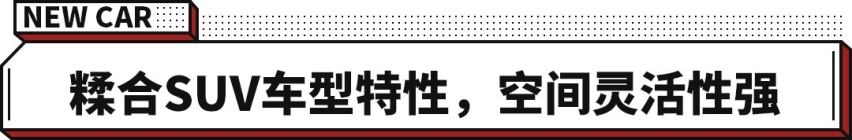 全新一代奇骏/汉兰达！ 这些又大又实惠的合资新车抢先看