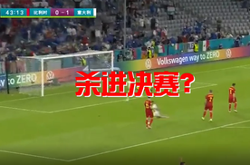 与斯威一起看欧洲杯