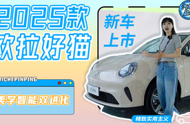 美学智能双进化 2025款欧拉好猫精致实用主义