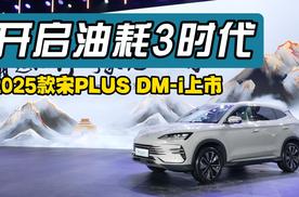 开启油耗3时代 2025款宋PLUS DM-i上市