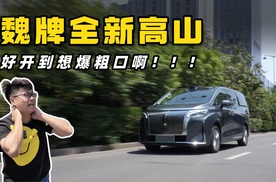 魏牌全新高山8，好开到让人想爆粗口！