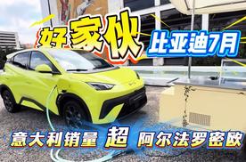好家伙 比亚迪7月意大利销量超阿尔法罗密欧