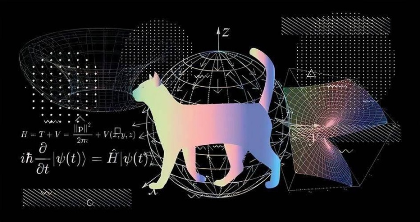小鹏请林志颖做代言，是为揶揄特斯拉，还是为打消电池安全疑虑？