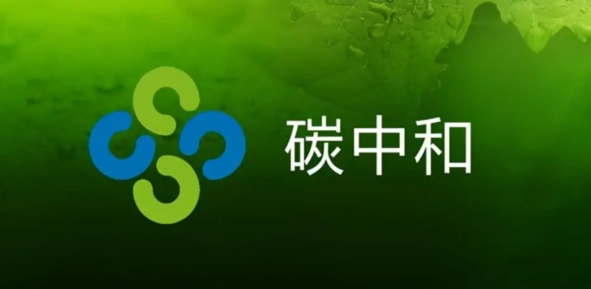 蔚小理又进ICU？这下麻烦大了！