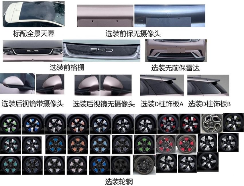 变身“小钢炮” 比亚迪海豚高功率版申报图曝光