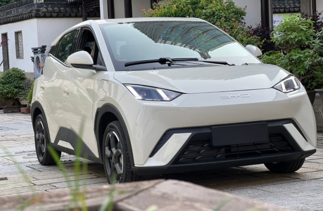 电动小车大PK，海鸥、熊猫mini、宏光MINIEV之间，谁能胜出？