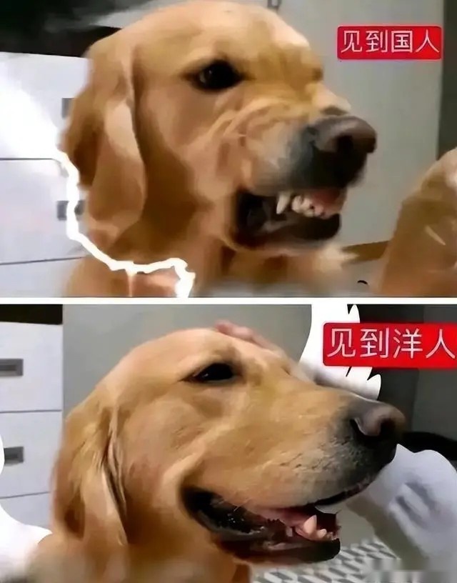 上海车展最恶心的娇羞 是宝马MINI冰淇淋区别对待的两个女人