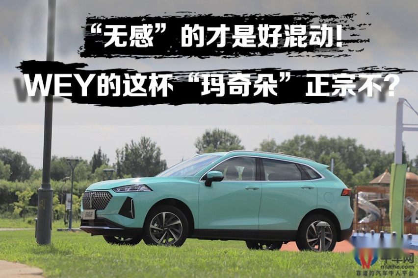 纯电大行其道，混动将扮演什么角色？试驾WEY品牌 玛奇朵