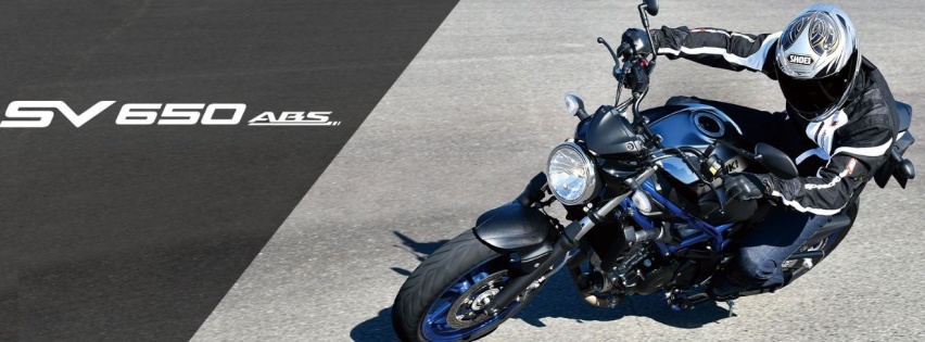 蒙面超人 铃木SV650国内接受预定 或成最便宜进口650