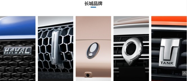 长城汽车，什么时候才能不“命悬一线”？