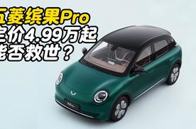五菱缤果Pro 定价4.99万起能否救世？