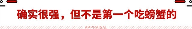 堪称全球最先进！手机取代车机处理器 这魅族车机有多强？
