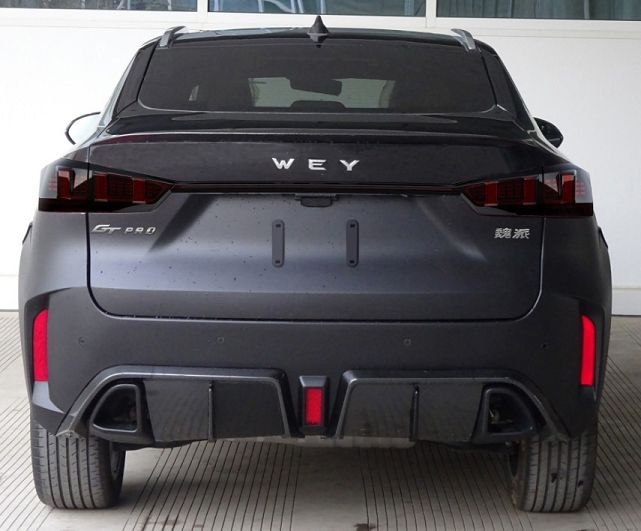 外观更骚气，轻混作动力，VV7 GT Pro申报图曝光