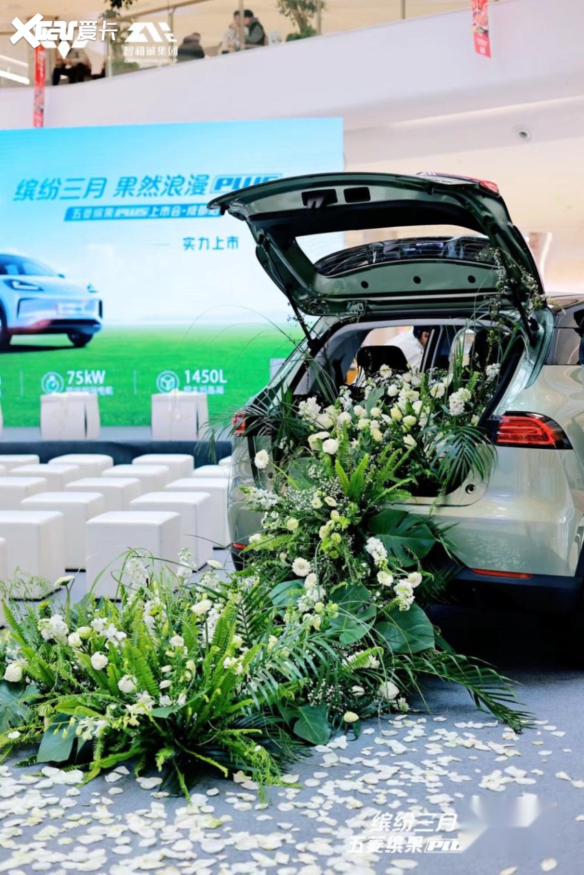 8.98万起，超长续航五门纯电SUV五菱缤果PLUS蓉耀上市！
