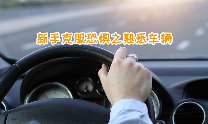 新手驾驶课堂：（1）掌握住油门、刹车、方向盘，你就成功了99%