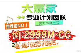 2025科普讨论！极速赛车最稳计划群
