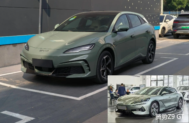 四驱版预售20万，电机总功率310kW，比亚迪纯电小钢炮将上市