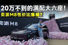 新车速递丨东风奕派M8，家用大六座新王登基？