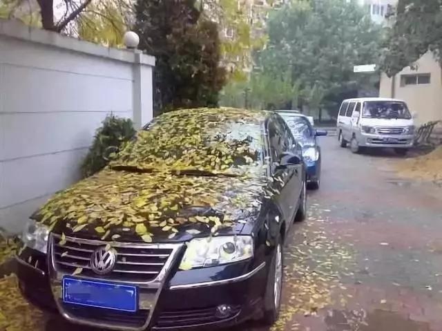 对车像对待老婆 这样做你是不是想“丧偶”？