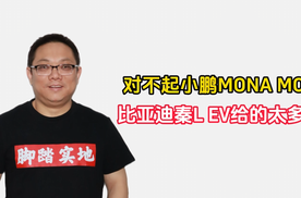 对不起小鹏MONA M03，比亚迪秦L EV给的太多了！｜林示评车