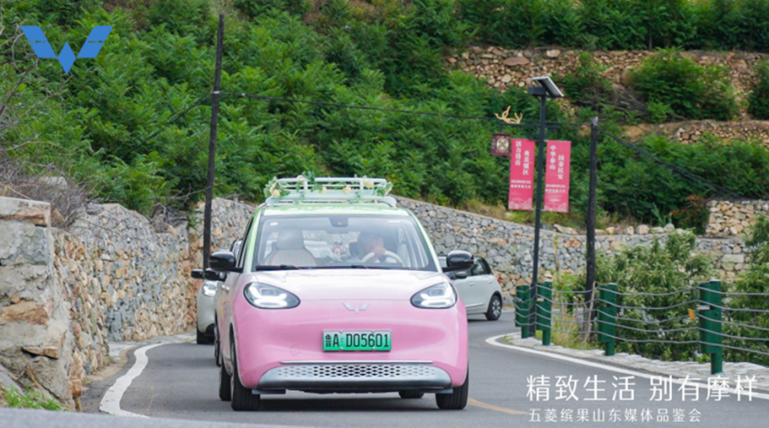 求解：想入手大空间五门纯电车！答：选五菱缤果