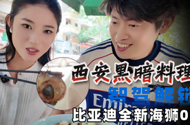 比亚迪全新海狮05智驾解锁西安黑暗料理羊眼泡馍