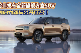 哈弗发布全新旗舰方盒SUV 魏总为新车公开征名！