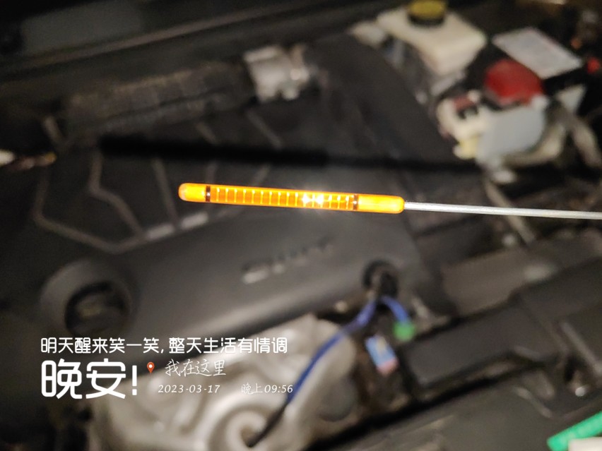 记录标致小狮子烧机油的康复之路